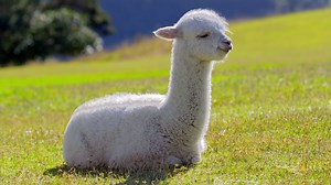 1.4K views · 61 reactions | Spring into the new season with...