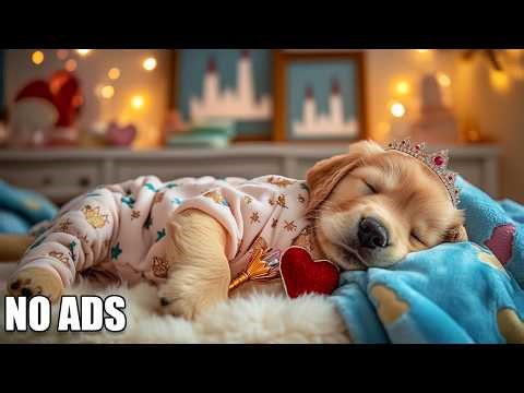 12 Hours of Deep Sleep Music for Dogs 🐶 Anti-Separation Anxiety Relief | Puppy Sleep & Calm 💖 No Ads