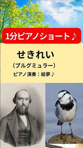 ♪「せきれい」（ブルグミュラー25の練習曲11番）
