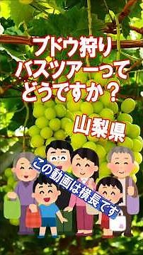 【ブドウ狩りバスツアー🚎に参加してみたけど...】 #ブドウ狩りツアー #シャインマスカット #バス旅