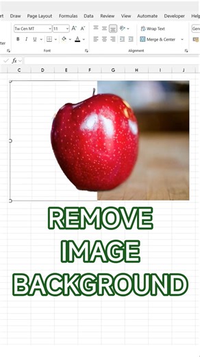 How to Remove Picture Background in Excel