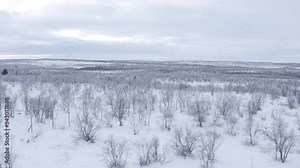 reindeer fence in the fjalls in finland utsjoki finland norway for sami herding sami people native lapland drone original way of living