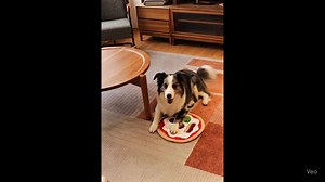 Pizza Snuffle Mat for Dogs: Interactive Slow Feeder Nosework Toy - Etsy