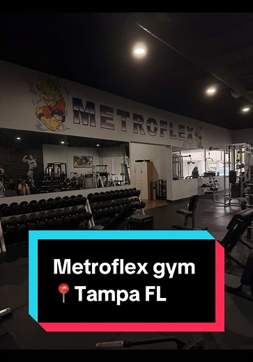 Tampa Gym Rankings: Top Picks for Fitness Enthusiasts