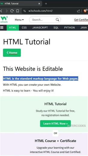 Edit Any Website Live in Your Browser (document.designMode Trick!)