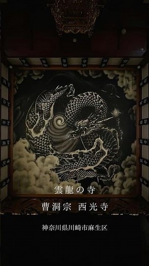 西光寺の雲龍図 #雲龍 #龍 #拝観