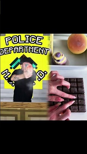 The Minecraft Police Department 5