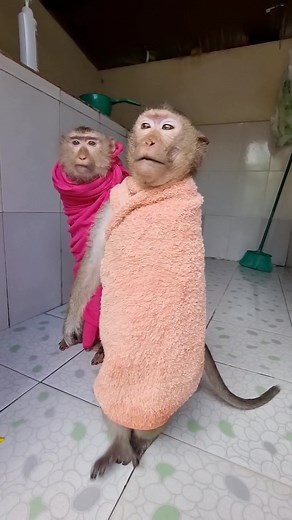 6.9K views · 220 reactions | YaYa Note on Reels | Facebook