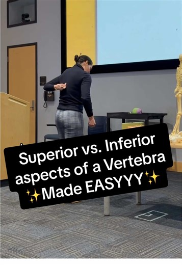 Understanding Anatomy Made Easy