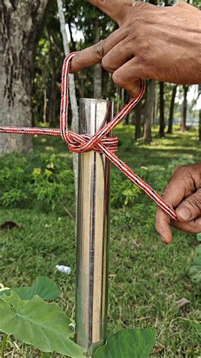 Useful Rope Trick Everyone Should Know! 🪢#Shorts #RopeTrick #LifeHacks #KnotTying #DIY