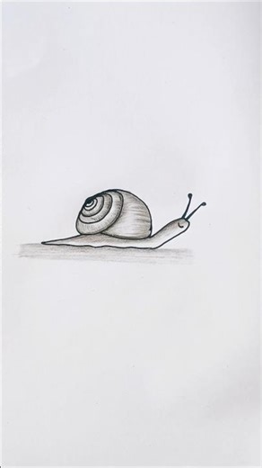 how to draw a snail. #snail #drawing #esayway