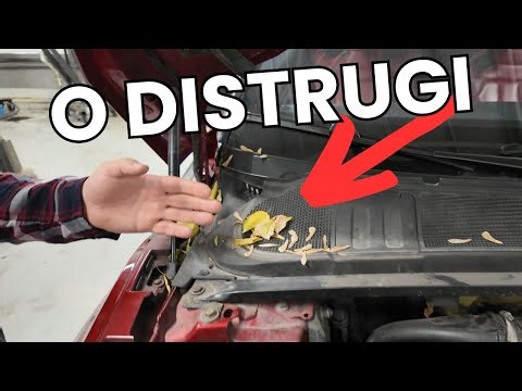 Așa îți distrugi mașina fără să știi! Evită asta acum!