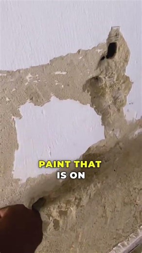Why Your Wall Paint Is Peeling (And How to Fix It Properly)
