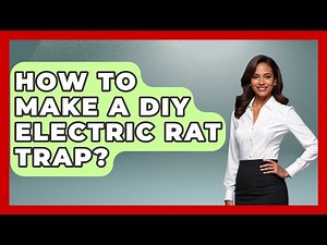 How To Make A DIY Electric Rat Trap? - Insects and Invaders