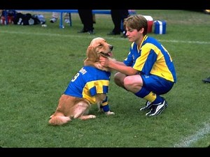 Air Bud: World Pup (2001) - Movie Review