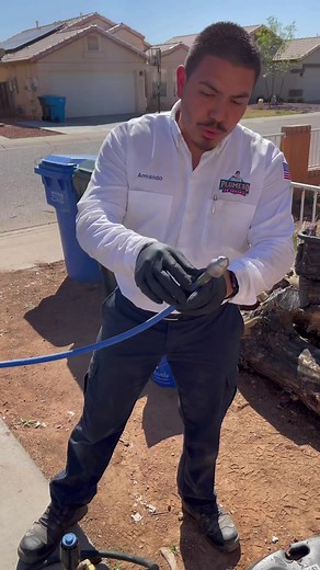 Dealing with Tree Roots in Your Drain: What You Need to Know