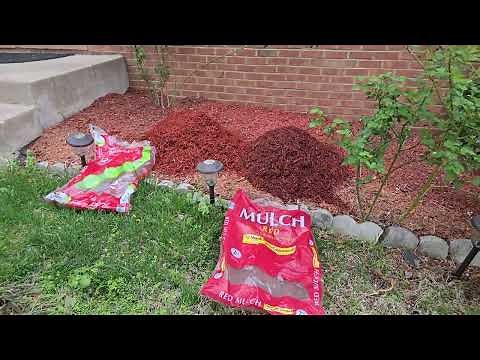 Lowes Premium Mulch vs Sta-Green Mulch | 5 for 10 deal | @lowes ​