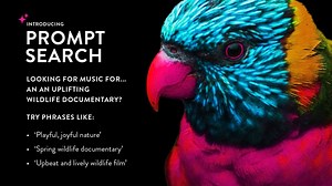 Working on a project about wildlife? Make it stand out with the...