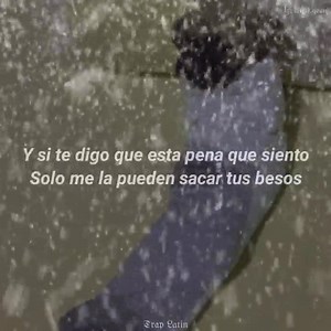 499K views · 52K reactions | she don't give fo | Trap Latin | Facebook