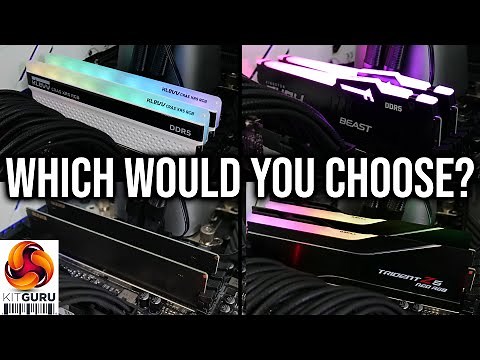 DDR5 memory on AM5: The Four-Way Roundup!