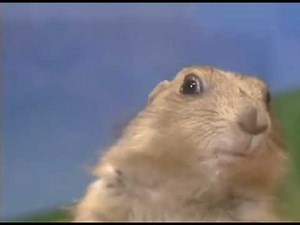 the dramatic chipmunk remastered