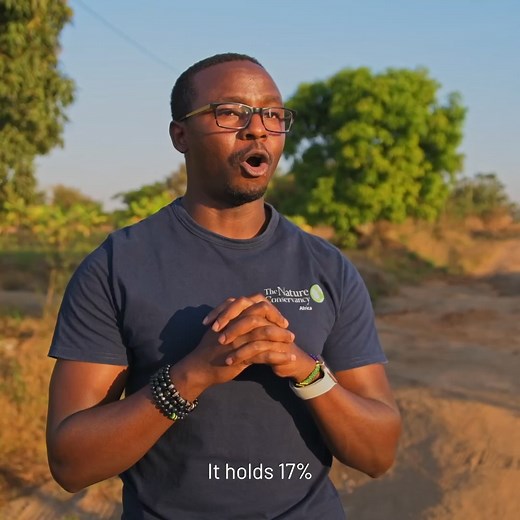 Lake Tanganyika holds 17% of the world’s surface freshwater. It is also Africa’s longest lake at 673 kilometers, a lifeline that stretches across borders and unites the lives of millions of people. The lake is a shared resource that demands collective stewardship and equitable management. Learn how we are working with partners across four countries to deliver a unified vision of a well-managed lake that can sustain both people and nature for generations. https://www.nature.org/en-us/about-us/whe