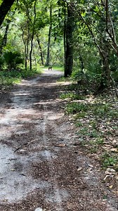 Big vibes @ Silver Springs #nature #rhesusmacaque #vervetmonkey #ocalaflorida | Ross Brothers