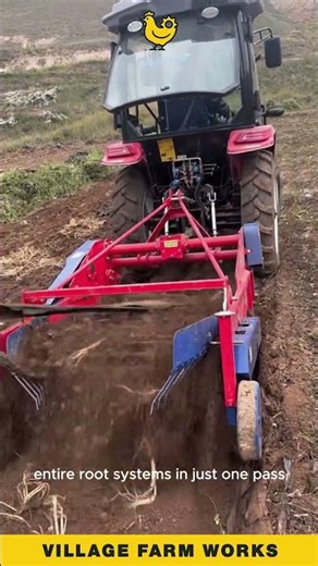 This Root Harvester is INSANE 🚜 What a Smart Farming Tool! #AgriculturalMachinery