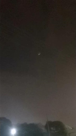 Cute Baby Owl Caught on Camera Adorable! #babyowl #cute #nature