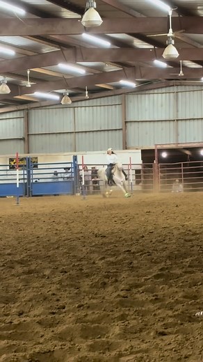 12 reactions | Millie has really stepped up her game running harder and faster at each rodeo  #chaseyourdreamstablesllc #doublehockerranch #teeredcottonnell | Chase Your Dream Stables LLC. | Facebook