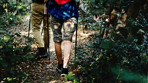 Know These Tick Species to Stay Safe Outdoors