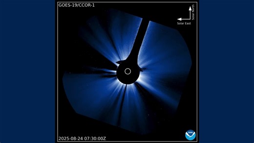Planet X Nibiru Nemesis Star and Earth's Moon Captured in Same NASA Imagery?