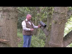 Grey Squirrel Control