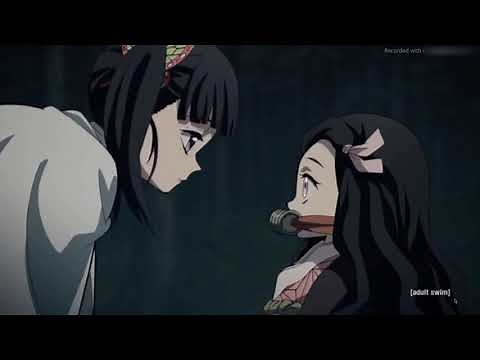 DEMON-SLAYER funny moments english dub