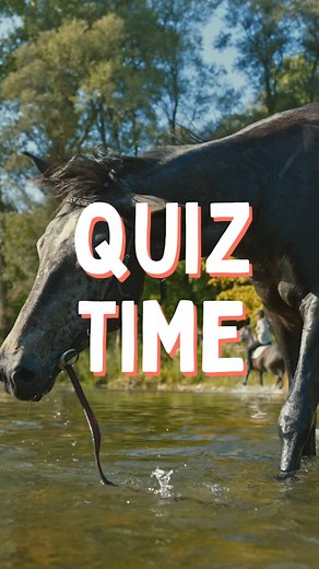 🎯 Quiz Galop 3 — Tu penses avoir le niveau ? On teste tes connaissances ! 👀🐴 Prépare-toi : au Galop 3, on commence à entrer dans le concret… soins, techniques, pratiques en carrière… tu vas voir si tu maîtrises vraiment 😉 💡 Regarde le réel, réponds à la question en commentaire ! Et si tu veux réviser sereinement tous tes Galops, découvre nos programmes complets du Galop 1 au Galop 7 (lien en bio) 🐎✨ Parfait pour progresser, comprendre et prendre confiance avant l’examen. #QuizEquitation #G