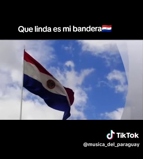 La Belleza de la Bandera Paraguaya