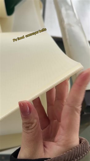 Pu Food Conveyor Belt Manufacturer for the Food Industry