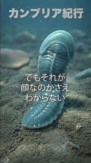 【はじめて歩いた生命は絶滅した】エディアカラ紀