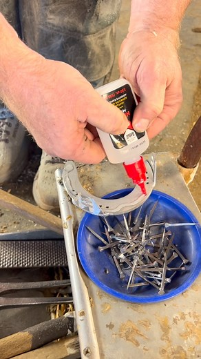 4K reactions · 269 shares | HANTON TIPS & TRICKS- Use quick-set super glue to stabilize your shoe and make the application process much easier! *This step is not required, but a helpful option, especially for the horses who have difficulty standing. Check out the next video for steps to apply the blisters! | Hanton Horseshoes | Facebook