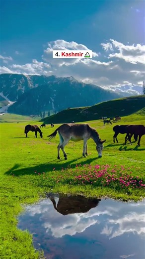 7 Best Places to Visit in India This May 🌄 | Summer Travel Guide