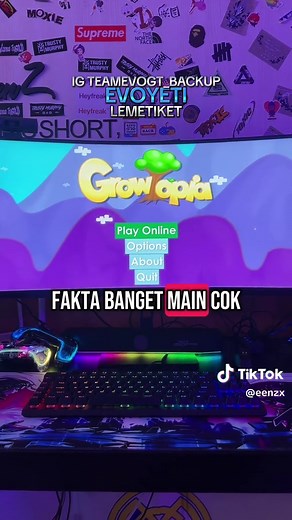 Growtopia Gameplay Tips and Last RTO Overview