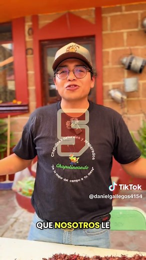 Proceso secreto de los chapulines: ¡Descúbrelo!