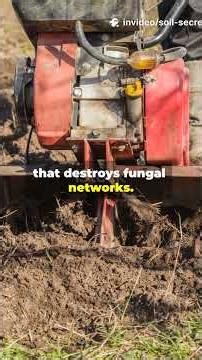 Your Soil Can Water Itself (Here's How) #SelfWateringSoil #SoilHealth #RegenerativeGardening