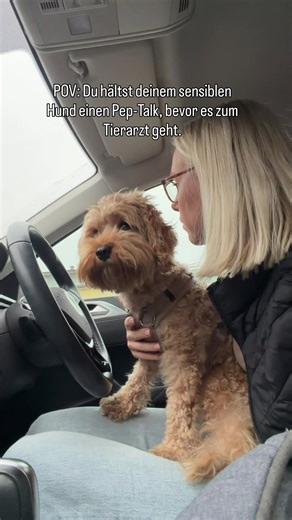 POV: Du hältst deinem sensiblen Hund einen Pep Talk, bevor es zum Tierarzt geht 🐾🐾 Heute stand Tierarzt auf dem Plan – und sagen wir mal so: Tuula ist kein Fan. Aber sie war unglaublich tapfer 🥺🤍 Bevor wir reingegangen sind, gab’s für uns beide noch einen kleinen motivierenden Pep Talk. Bitte sagt mir, ich bin damit nicht allein 😅 Wie ist das bei euch – mögen eure Fellnasen den Tierarzt oder braucht es auch erst gut zureden? Folgt uns für ehrliche Momente, ganz viel Gefühl & das echte Leben