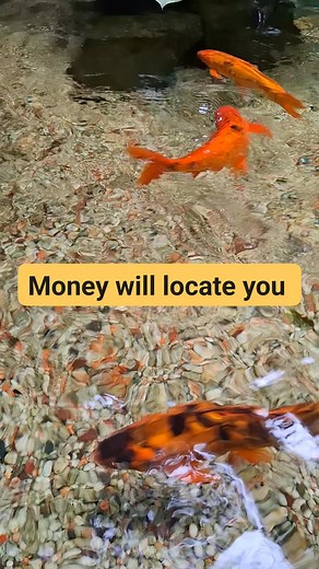 69K views · 10K reactions | Money flow endlessly | Crystal and Amulets 520 | Facebook