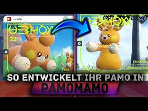 So entwickelt ihr PAMO in PAMOMAMO