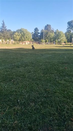 | Rodrigo Andrés Aguayo Hormazabál