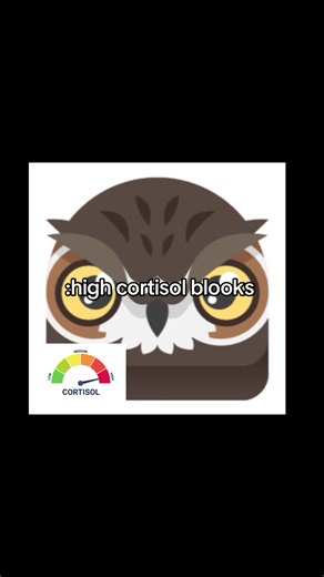 Understanding Cortisol Levels in Blooket