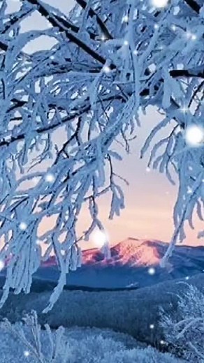 Winter Wonderland: Stunning Snowy Landscapes