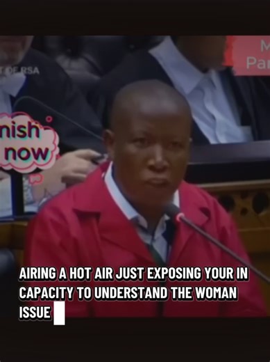 Malema Critiques Zulu at Parliament Session